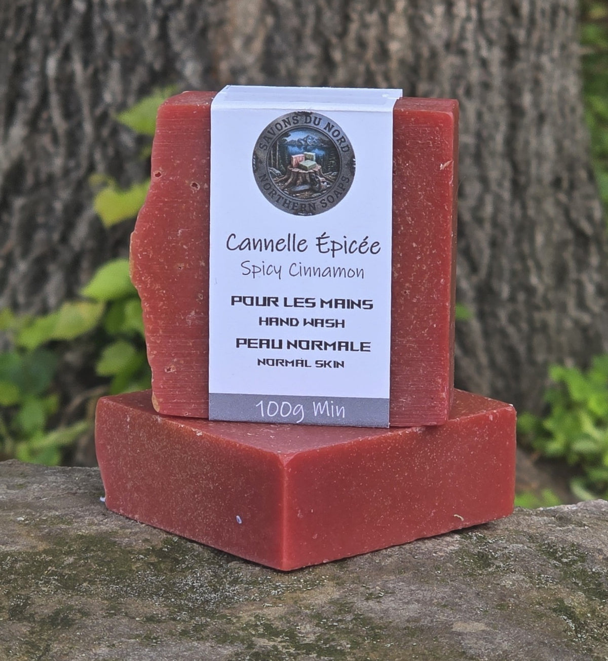 Cannelle Épicée