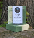 Taïga